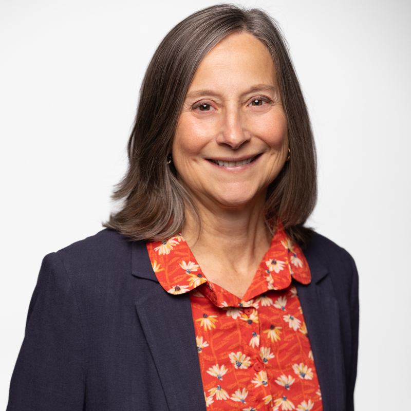 Lisa Lapointe-BCGreens-Candidate2026